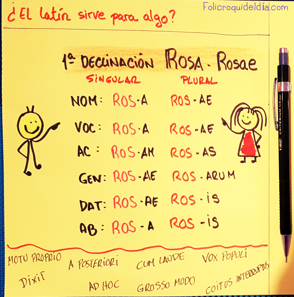 ¿Alguien piensa que el Latin no sirve para&nbsp;nada?