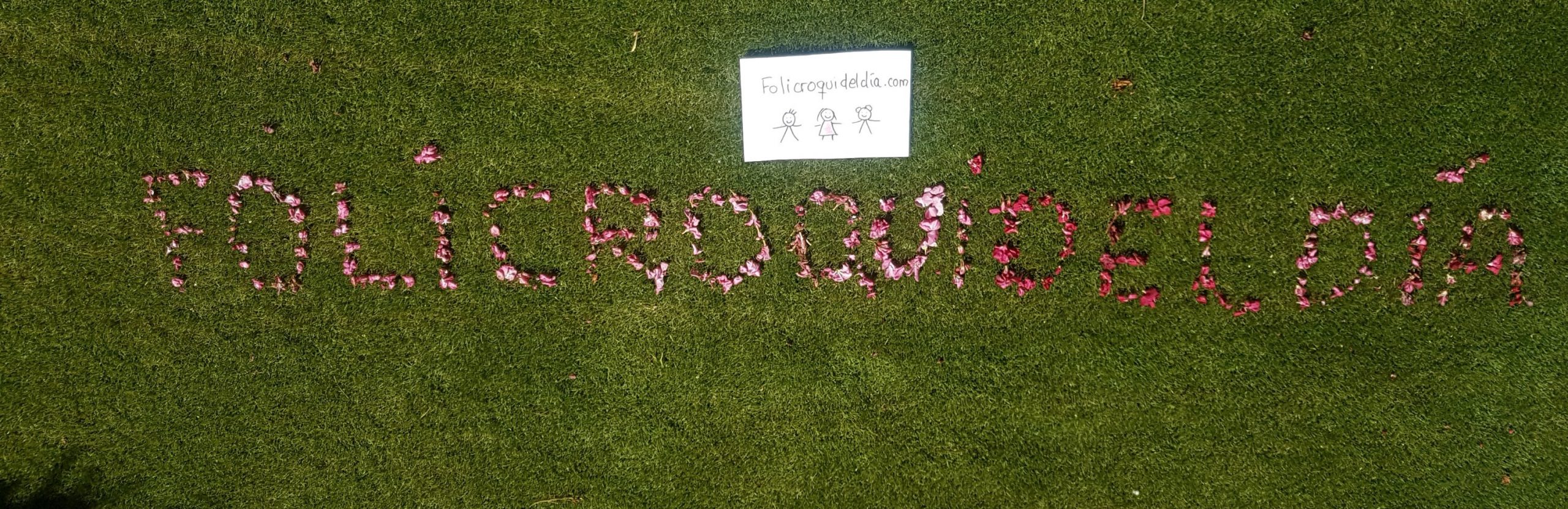 Pon un folicrqoui en tu día. Fotografía hecha em verano con flores de adelfas. Han caído por el viento sorprendentemente en forma de folicroqui